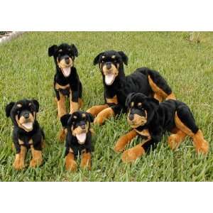   Dog Puppet 16 Inches Lying (Pictured on Far Right) Toys & Games