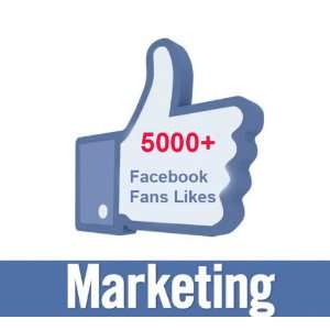  5,000+ Facebook Likes US Target Delivery in 3 6 Days 