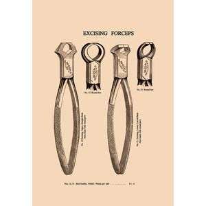  Vintage Art Excising Forceps   07000 5