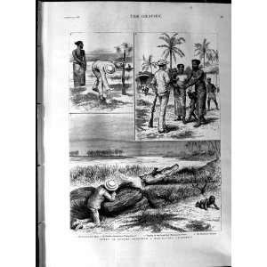  1888 Sport Ceylon Man Eating Crocodile Shooting Natives 