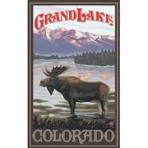  Northwest Art Mall PAL 106 Grand Lake Colorado Moose 