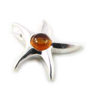  Pendant silver Etoile Des Mers amber. Jewelry