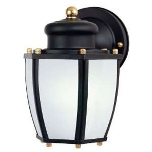 Westinghouse Lighting 6451600 One Light Dusk to Dawn Exterior Steel 