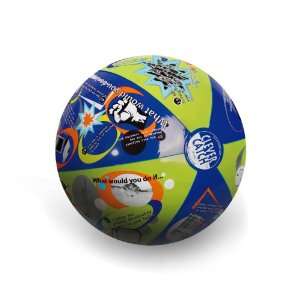 American Educational SR 1393 Vinyl Clever Catch Bully Reaction Ball 