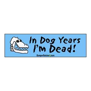  In Dog Years Im Dead   funny bumper stickers (Medium 10x2 