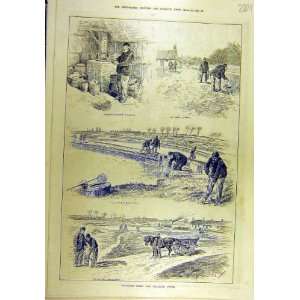  1889 Stormont Field Fish Breeding Ponds Sport Print