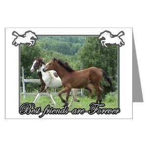  Best Friends Humor Greeting Cards Pk of 10 by  