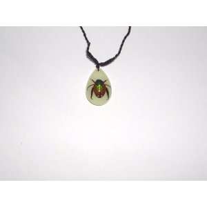  Glow in the dark Real Insect Necklace (YD0668) Everything 