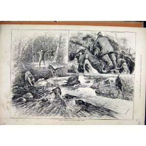    Otter Hunting 1884 Cover River Yorks Dogs Old Print