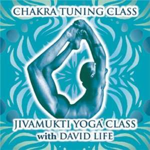  Jivamukti Yoga Class Vol. 3   Chakra Tuning CD with David 