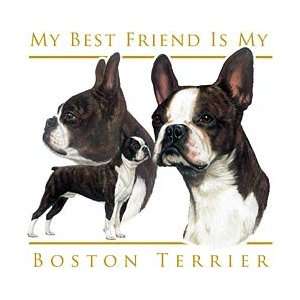  Boston Terrier Shirts