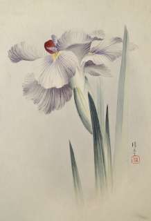Antique 19C. Japanese Signed Floral Watercolor Painting  