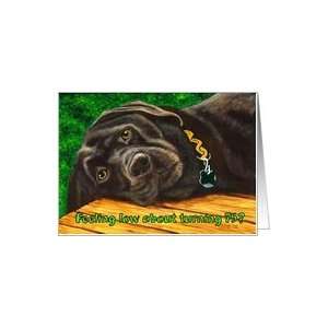  Funny Birthday ~ 75 Years Old ~ Labrador Dog Card Toys 