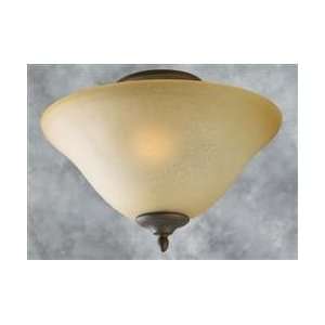    Outdoor Wall Sconces Sea Gull Lighting 8456