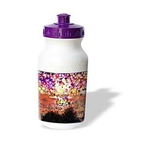   Science Fiction   Color Bomb   Water Bottles