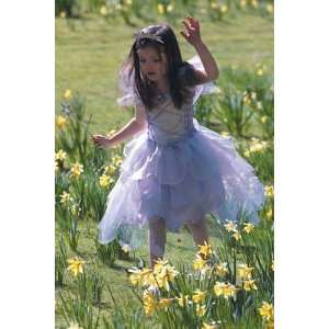   Travis Designs Lilac Fairy Girls Fancy Dress 6 8 Years Toys & Games
