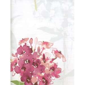  Wallpaper Seabrook Wallcovering Fresh Floral FF91101
