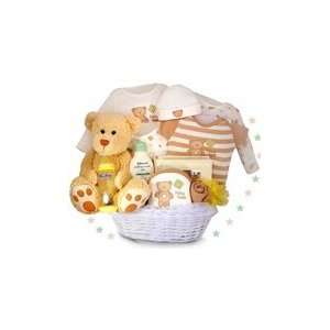  My First Teddy Bear Deluxe Baby Gift Basket Everything 