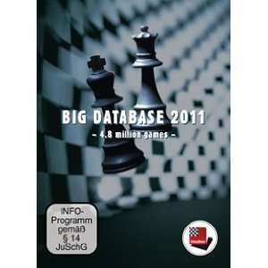 Big Database 2011 