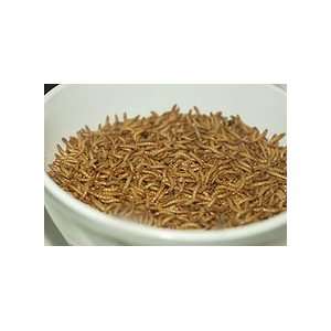  5000 Live Gutloaded Mealworms