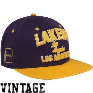  New Era Los Angeles Lakers Purple Gold Pay Dirt Flat Bill 