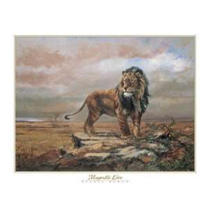   Duran   Majestic Lion Size 22x28 by Elvira Duran 28x22