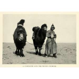  1926 Print Mongolia Camel Caravan Desert Wang Ye Fu Animal 