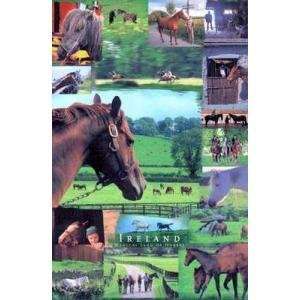  Magical Land Of Horses Poster Print