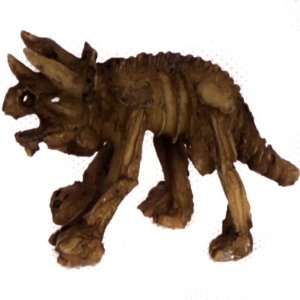  Dig It Dinosaur   Triceratops (Whole) Science Kit  Affordable 