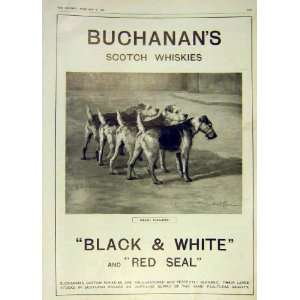  Scotch Whiskies Buchanan Welsh Fusiliers Print 1916
