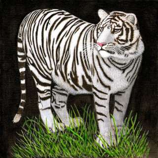  Fr Frank White Indonesian Tiger Cat Animal Wildlife Painting  