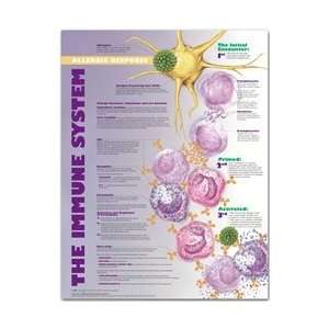 The Immune System Allergic Response Anatomical Chart  