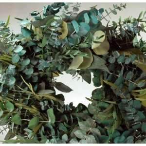  Air Dried 17 Natural Eucalyptus Wreaths