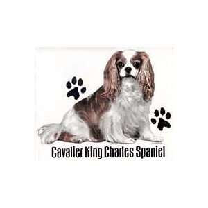  Cavalier King Charles Spaniel Shirts