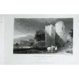  Wales View Ruins Crickhowel Castle Brecknockshire Horse 