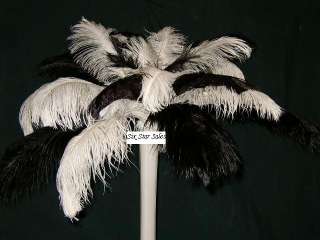 12 Black White Ostrich Feathers  24 White Tower Vases  