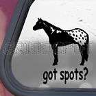 Got Spots? Decal Appaloosa Horse Truck Window Sticker