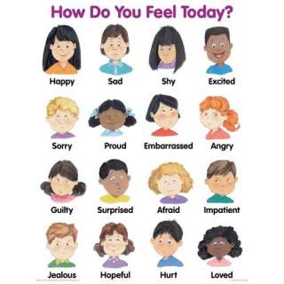  How Do You Feel Today? Cheap Chart (9780768213768) School 