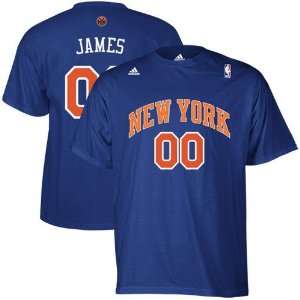  adidas New York Knicks Lebron James Youth Royal Blue Net 