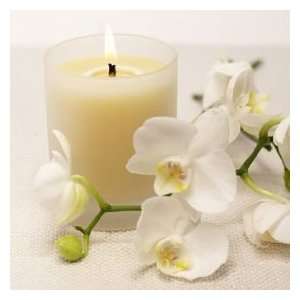  Organic Aromatherapy Votive Lemon Verbena Soy Candle with 