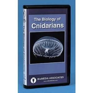 Branches on the Tree of Life Cnidarians DVD  Industrial 