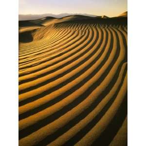  Death Valley Curved Dunes Wall Mural