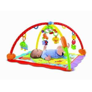    Price Friendly Firsts 3 in 1 Musical Mirror Grow with Me Gym Baby