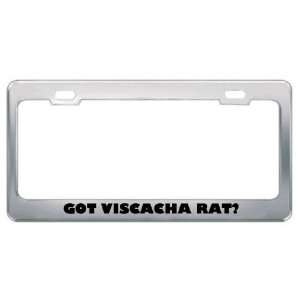 Got Viscacha Rat? Animals Pets Metal License Plate Frame Holder Border 