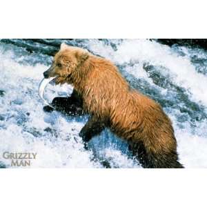 Grizzly Man Movie Poster (11 x 17 Inches   28cm x 44cm) (2005) Style A 