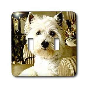  Dogs West Highland Terrier   Westie   Light Switch Covers 