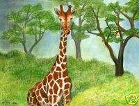 WILDLIFE AFRICAN ANIMAL ART GIRAFFE LTD ED PRINT  