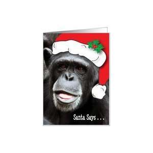  Christmas / Animals, Chimp, Humor Card Health & Personal 