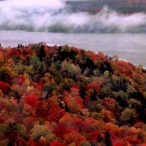 Mist Lingers Over Lobster Lake as Trees Show off Their Splendid Colors 