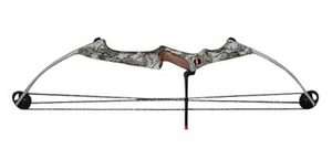 Darton Viper Bow  